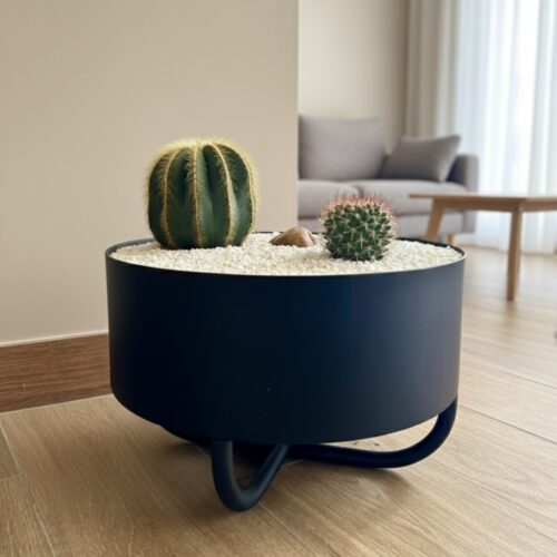 Matera de piso Serena en aluminio color negro mate, con diseño redondo y base elevada, decorada con cactus en un interior moderno y minimalista.