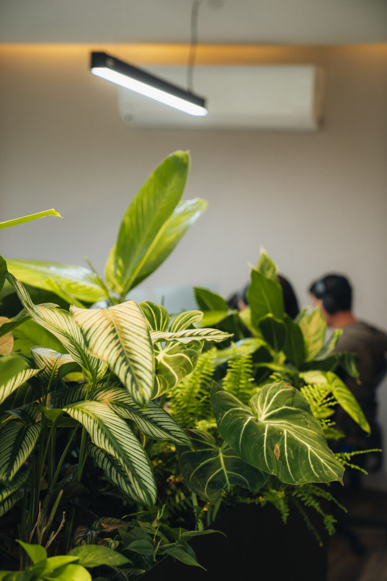 Oficina Entorno Jurídico ambientada con plantas y materas de diseño, proyecto Dosdos Design