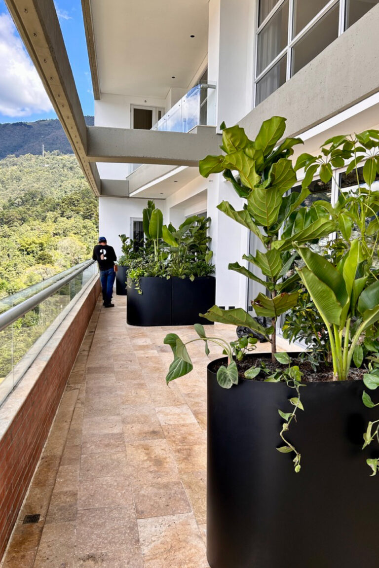 Terraza Verde | Diseño Biofilico | Plant styling