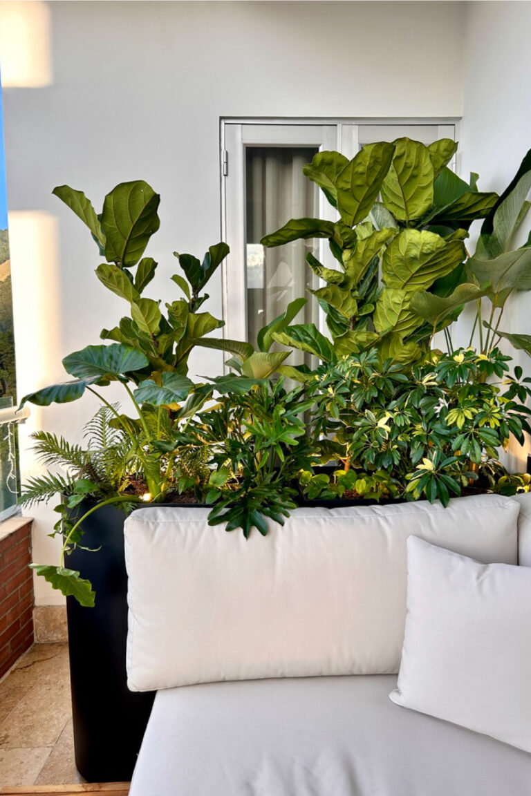 Terraza Verde | Diseño Biofilico | Plant styling