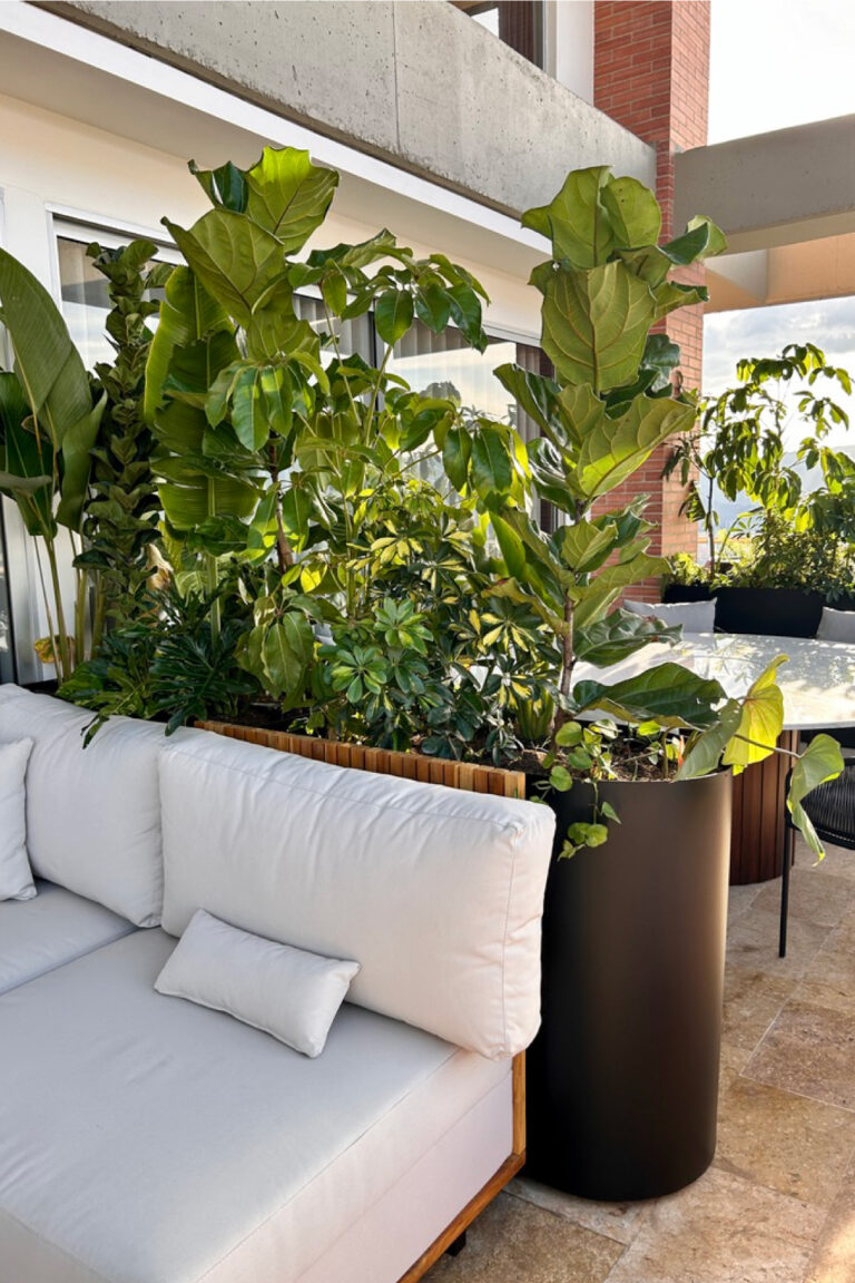 Terraza Verde | Diseño Biofilico | Plant styling