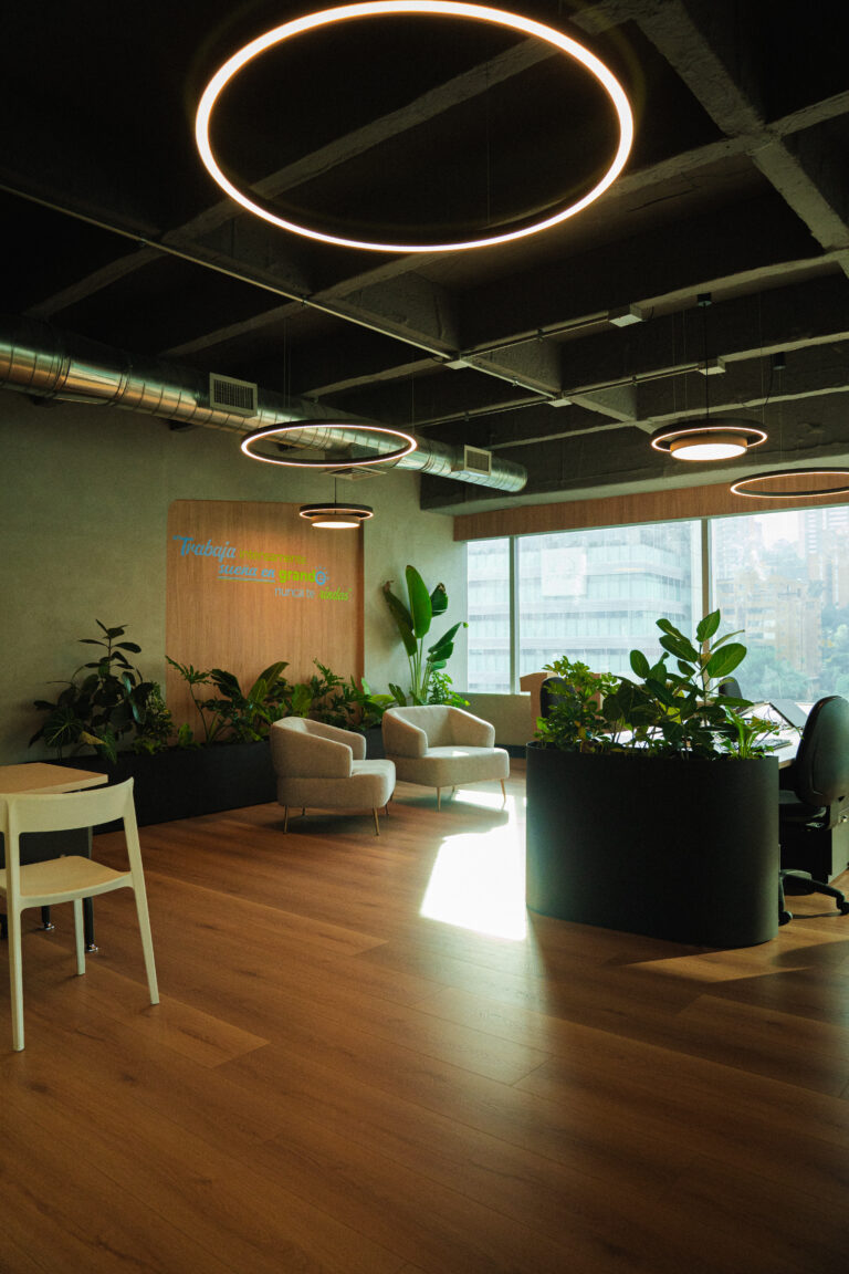 Materas móviles y selección de plantas para un espacio laboral vivo