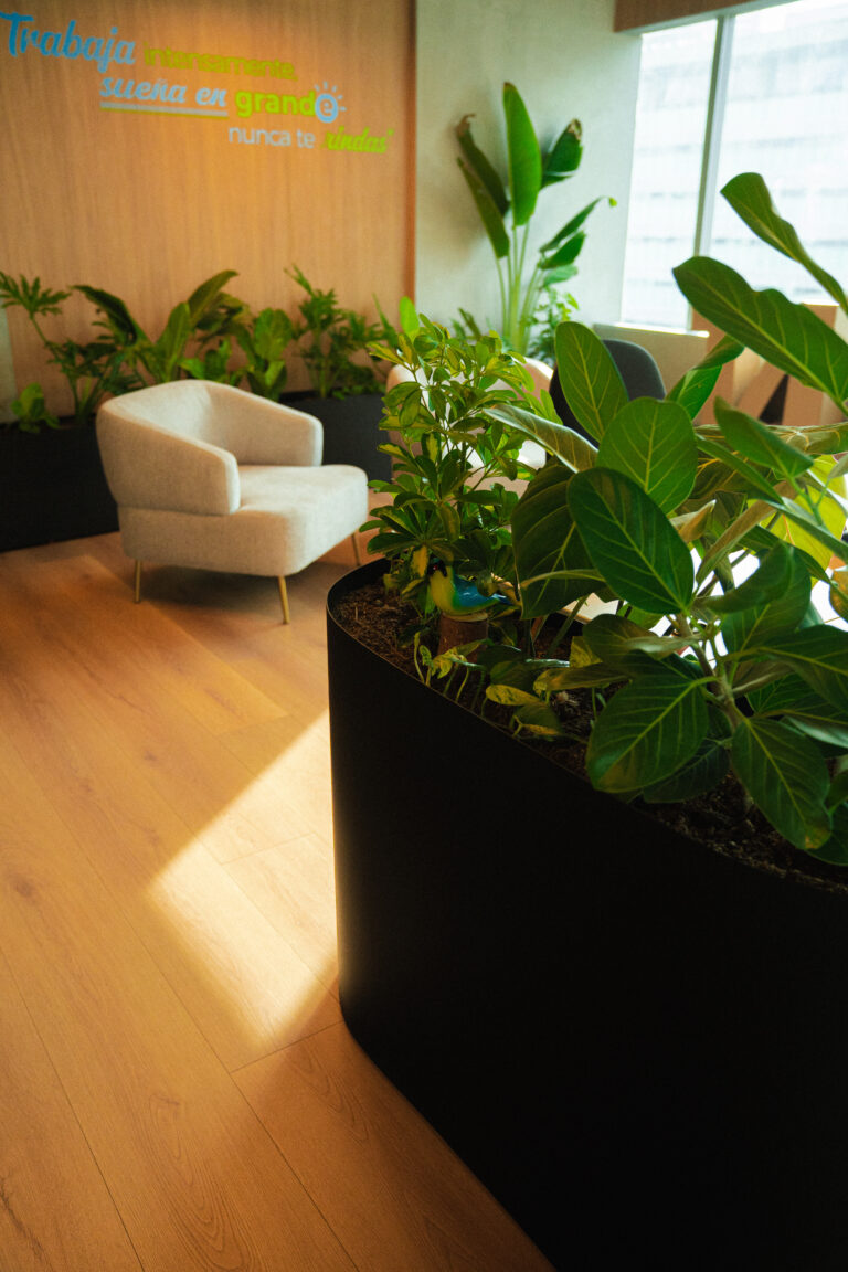 Materas móviles y selección de plantas para un espacio laboral vivo