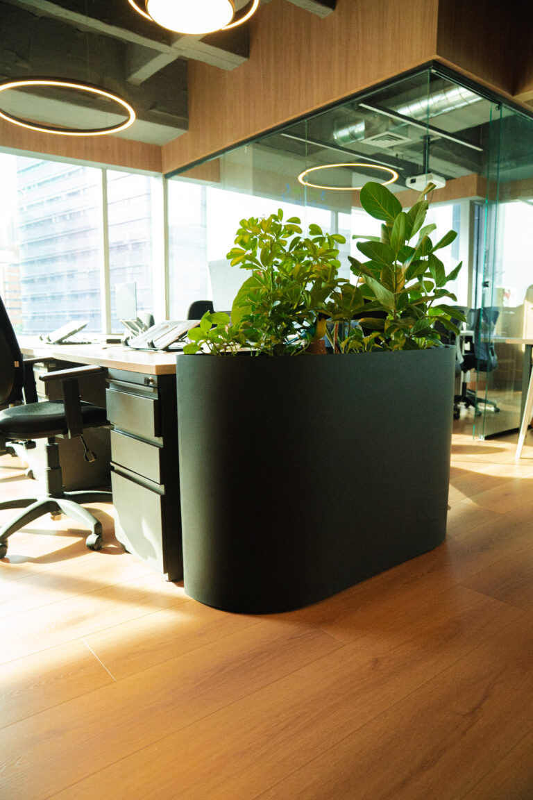 Materas móviles y selección de plantas para un espacio laboral vivo