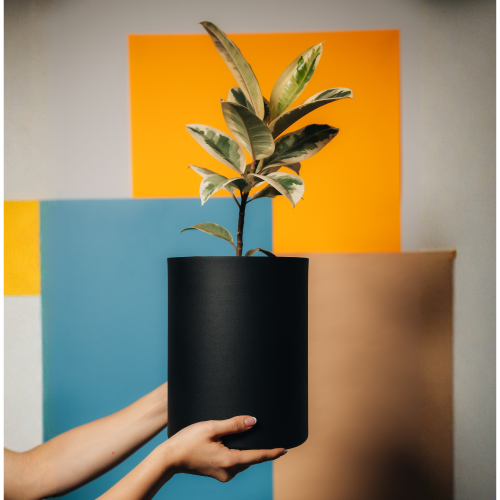 Matera Cilindrus de 20 cm en aluminio negro mate de dosdos design, ideal para interiores modernos.